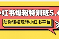 小红书爆粉特训班5.0，助你轻松玩转小红书平台价值1380元 - AI 智能探索网-AI 智能探索网