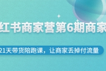 小红书商家营第6期商家版，21天带货陪跑课，让商家丢掉付流量 - AI 智能探索网-AI 智能探索网