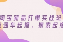 淘宝新品打爆实战班，直通车起爆、搜索起爆 - AI 智能探索网-AI 智能探索网