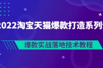 2022淘宝天猫爆款打造系列课：爆款实战落地技术教程 - AI 智能探索网-AI 智能探索网