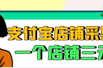 【信息差项目】支付宝店铺采集项目，只需拍三张照片，轻松日赚300-500 - AI 智能探索网-AI 智能探索网