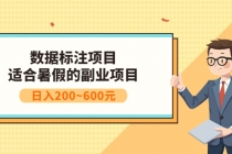 数据标注项目：适合暑假的副业兼职项目，日入200~600元 - AI 智能探索网-AI 智能探索网