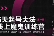 五天起号魔鬼训练营，告别光学不练，逼自己上车，成败与否，5天拿到结果 - AI 智能探索网-AI 智能探索网