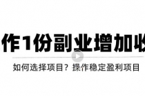 新手如何通过操作副业增加收入，从项目选择到玩法分享！【视频教程】 - AI 智能探索网-AI 智能探索网