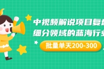 某付费文章：中视频解说项目复盘：细分领域的蓝海行业 批量单天200-300收益 - AI 智能探索网-AI 智能探索网