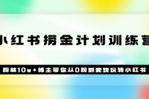 《小红书捞金计划训练营》粉丝10w+博主带你从0粉到变现玩转小红书（72节课) - AI 智能探索网-AI 智能探索网