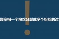 「粉丝裂变训练营」0-1-1w爆发式增长，24小时不断的涨粉-睡觉也在涨-16节课 - AI 智能探索网-AI 智能探索网