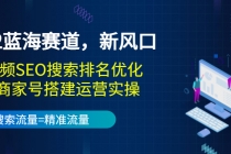 2022蓝海赛道，新风口：短视频SEO搜索排名优化+企业商家号搭建运营实操 - AI 智能探索网-AI 智能探索网