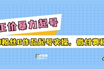 正价暴力起实操号：0粉丝0作品起号实操，微付费稳号 - AI 智能探索网-AI 智能探索网