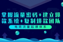 电商流量起爆体系：掌握流量密码+建立爆款系统+复制爆款团队 - AI 智能探索网-AI 智能探索网