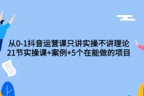 从0-1抖音运营课只讲实操不讲理论：21节实操课+案例+5个在能做的项目 - AI 智能探索网-AI 智能探索网