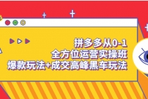 拼多多从0-1全方位运营实操班：爆款玩法+成交高峰黑车玩法 - AI 智能探索网-AI 智能探索网