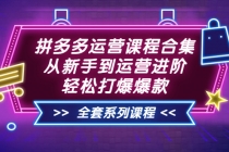 拼多多运营课程合集：从新手到运营进阶，轻松打爆爆款 - AI 智能探索网-AI 智能探索网