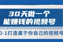 30天做一个能赚钱的视频号，从0-1打造属于你自己的视频号 (14节) - AI 智能探索网-AI 智能探索网