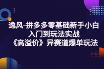 逸风-拼多多零基础新手小白入门到玩法实战《高溢价》异赛道爆单玩法实操课 - AI 智能探索网-AI 智能探索网