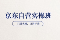 【京东自营实操班】只讲实操，只讲干货 - AI 智能探索网-AI 智能探索网