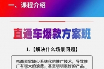 《直通车爆款方案班》提高直通车推广功能 - AI 智能探索网-AI 智能探索网