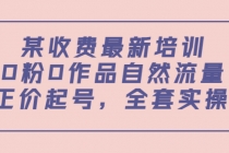 某收费最新培训：0粉0作品自然流量+正价起号，全套实操课！ - AI 智能探索网-AI 智能探索网