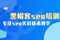 某收费培训课：黑帽客seo培训，专注seo实战技术教学！ - AI 智能探索网-AI 智能探索网