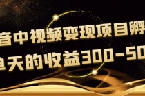 黄岛主《抖音中视频变现项目孵化》单天的收益300-500 操作简单粗暴 - AI 智能探索网-AI 智能探索网