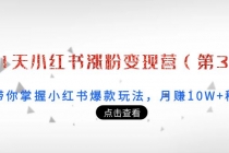 21天小红书涨粉变现营：带你掌握小红书爆款玩法，月赚10W+秘密 - AI 智能探索网-AI 智能探索网