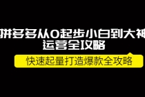 拼多多从0起步小白到大神运营全攻略，快速起量打造10W+爆款全攻略！ - AI 智能探索网-AI 智能探索网