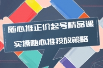 随心推正价起号精品课，实操随心推投放策略 - AI 智能探索网-AI 智能探索网