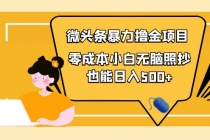 人人都能操作的微头条最新暴力撸金项目，零成本小白无脑搬运也能日入500+ - AI 智能探索网-AI 智能探索网