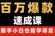 百万爆款速成课：用数据思维做爆款，小白也能从0-1打造百万播放视频 - AI 智能探索网-AI 智能探索网