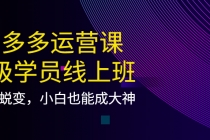 拼多多运营课：超级学员线上班，21天蜕变，小白也能成大神 - AI 智能探索网-AI 智能探索网