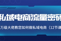 私域电商流量密码：千万级大佬教您如何做私域电商 - AI 智能探索网-AI 智能探索网