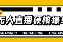 大飞无人直播硬核爆单技术，轻松玩转无人直播，暴利躺赚 - AI 智能探索网-AI 智能探索网