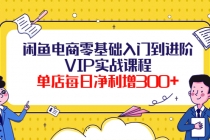 闲鱼电商零基础入门到进阶VIP实战课程，单店每日净利增300+ - AI 智能探索网-AI 智能探索网