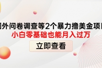 国外问卷调查等2个暴力撸美金项目，小白零基础也能月入过万 - AI 智能探索网-AI 智能探索网