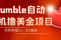 外面收费3888的rumble撸美金项目，号称单窗口一天5美金+【脚本+教程】 - AI 智能探索网-AI 智能探索网