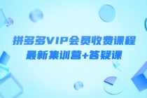 某社群·拼多多VIP会员收费课程，最新集训营+答疑课-价值3299元 - AI 智能探索网-AI 智能探索网