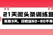 被忽视的微头条，21天微头条训练营，实操3天，日收益60-80不等 - AI 智能探索网-AI 智能探索网