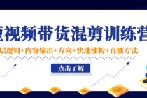 短视频带货混剪训练营：底层逻辑+内容输出+方向+快速涨粉+直播方法！ - AI 智能探索网-AI 智能探索网