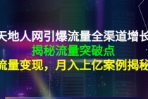 天地人网引爆流量全渠道增长：揭秘流量突然破点，流量变现，月入上亿案例 - AI 智能探索网-AI 智能探索网