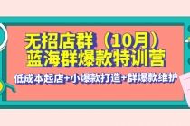 无招店群·蓝海群爆款特训营(10月新课) 低成本起店+小爆款打造+群爆款维护 - AI 智能探索网-AI 智能探索网