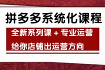 车神陪跑，拼多多系统化课程，全新系列课+专业运营给你店铺出运营方向 - AI 智能探索网-AI 智能探索网