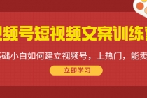 视频号短视频文案训练营：0基础小白如何建立视频号，上热门，能卖货！ - AI 智能探索网-AI 智能探索网