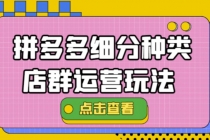 拼多多细分种类店群运营玩法3.0，11月最新玩法，小白也可以操作 - AI 智能探索网-AI 智能探索网