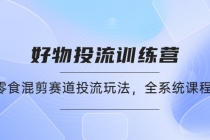 好物推广投流训练营：零食混剪赛道投流玩法，全系统课程！ - AI 智能探索网-AI 智能探索网