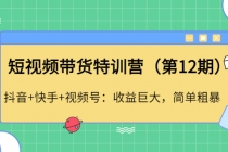 短视频带货特训营抖音+快手+视频号：收益巨大，简单粗暴！ - AI 智能探索网-AI 智能探索网