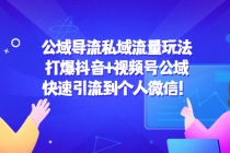 公域导流私域流量玩法：打爆抖音+视频号公域，快速引流到个人微信！ - AI 智能探索网-AI 智能探索网