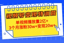 20天视频号变现特训营：单视频播放量2亿+3个月涨粉30w+变现20w+ - AI 智能探索网-AI 智能探索网