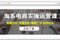 淘系电商实操运营课：数据分析-流量获取-爆款打造 各种玩法 - AI 智能探索网-AI 智能探索网