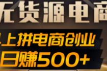 抖上拼无货源电商创业项目、外面收费12800，日赚500+的案例解析参考 - AI 智能探索网-AI 智能探索网