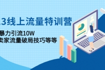 2023线上流量特训营：包含暴力引流10W+中小卖家流量破局技巧等等 - AI 智能探索网-AI 智能探索网